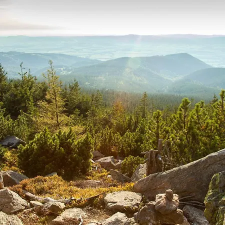 아파트 Czarna Gora 112 3*